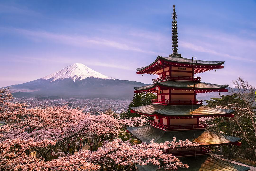 日本留学没有毕业回国怎么办?