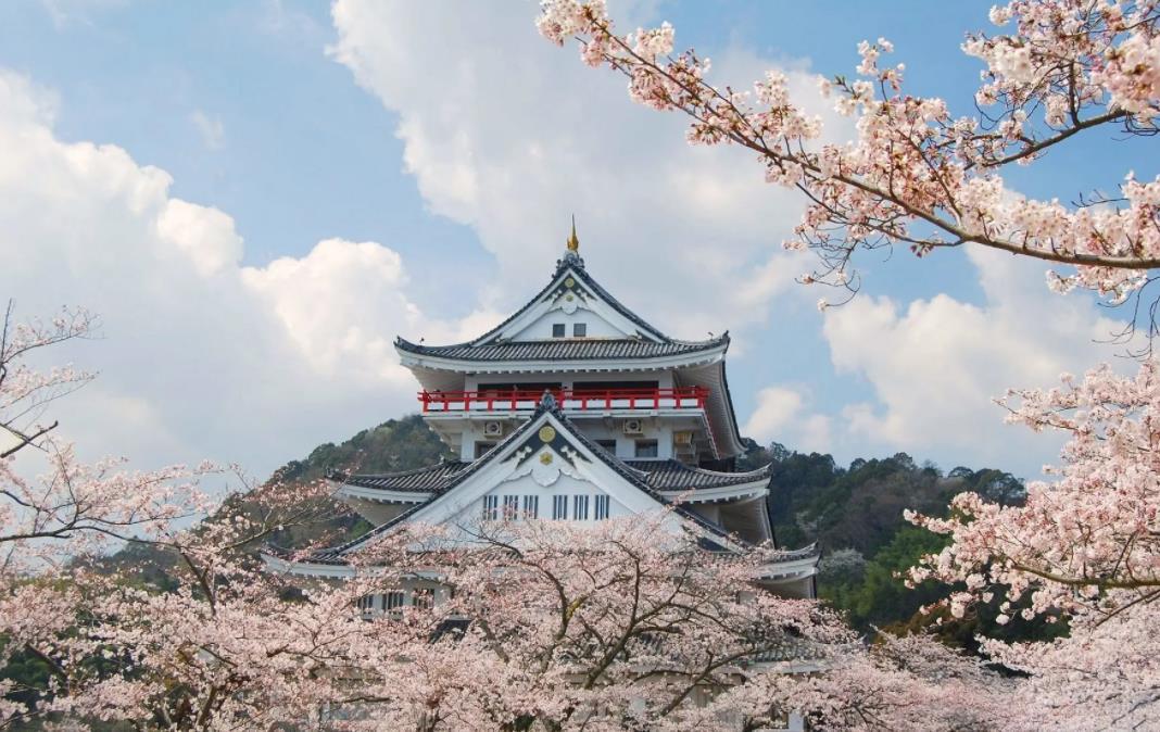 日本本科退学学历认证怎么办?